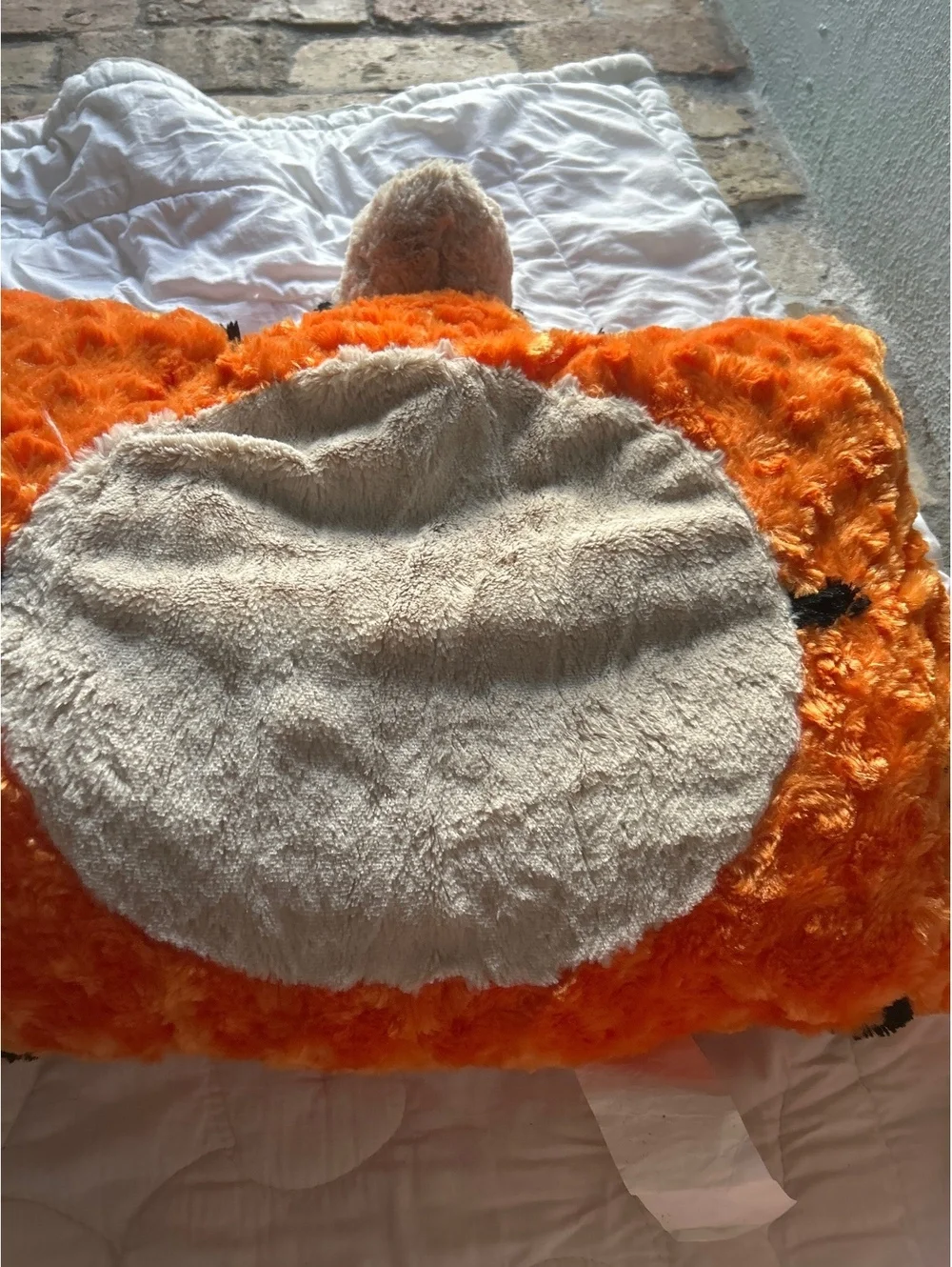 Disney’s parks, plush Tigger pillow